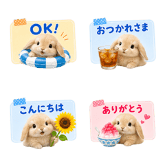 [Sticky Notes] Summer Rabbit