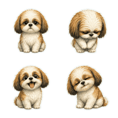 西施犬油畫風1A