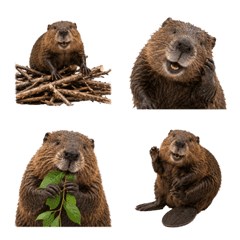 Smiley Beaver Emojis