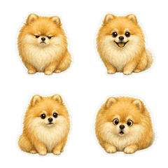 博美犬油畫風1A