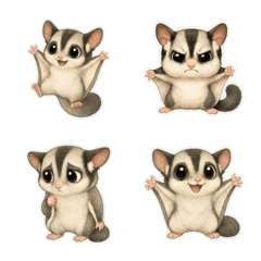 蜜袋鼯繪本風1A