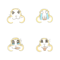 Expressive Prairie Dog