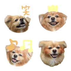 padmupgadmuplaemj