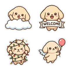 Toy poodle 4 without text