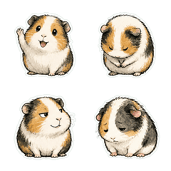 Guinea Pig Ink Wash 1A
