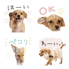 puripuriRiipu@minaplus