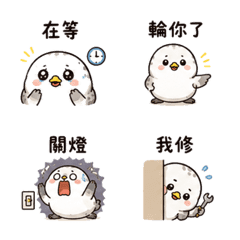 Mallow Button Seal Sparrow | Daily Check