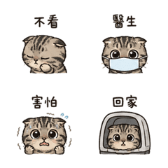 圓眼摺耳貓｜看醫生怕