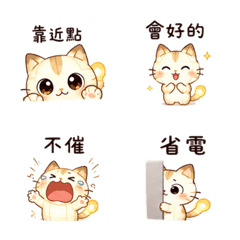 Nova Paper Lantern Cat | Night Reply