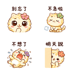 花麵貓｜拾星溫柔謝謝