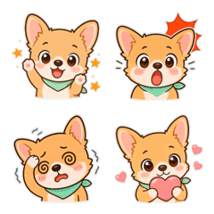 Milk Tea Chihuahua Faces