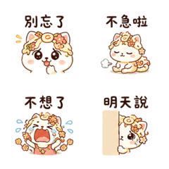 Flower Noodle Cat Soft Hello
