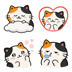 Scruffy Calico Reactions