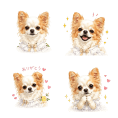 Cute Chihuahua emoji3