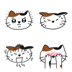 ビビりな三毛猫の日常