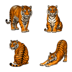 Harimau Siberia
