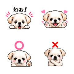 Puni Puni Shirochan