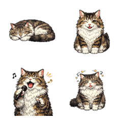 Emosi Kucing Siberia