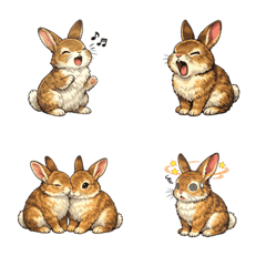 Emosi Kelinci Cottontail