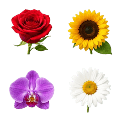 Emoji Bunga Realistis
