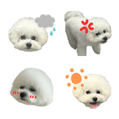 puputyann