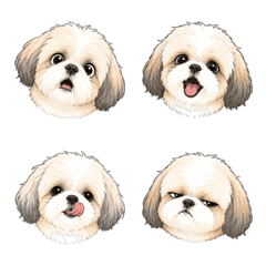 Fluffy Shih Tzu Emoji
