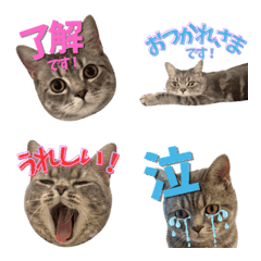 ROGER DAYS Emoji