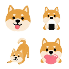 shibainu daily