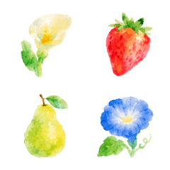 Watercolor Flowers & Fruits