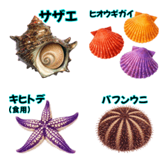 Fish Emoji ! Guide5(named)