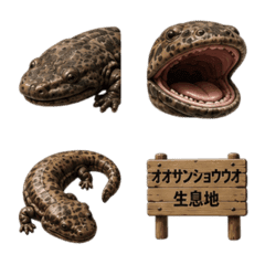日本大鯢 3D