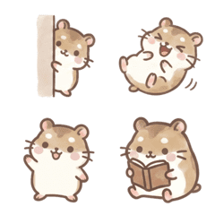 Round Roborovski Hamster