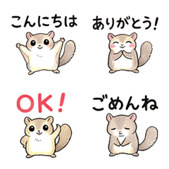 Cute Flying Squirrel Emojis