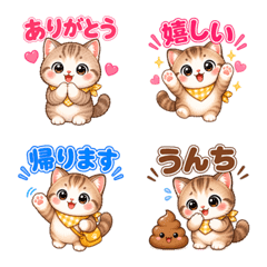Anytime Munchkin Cat