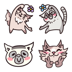 cat &wao