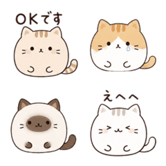 MOCHI cat  by coco