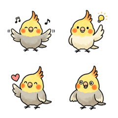 可愛玄鳳鸚鵡日常表情貼