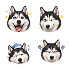Husky Friends C