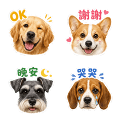Dog Friends C