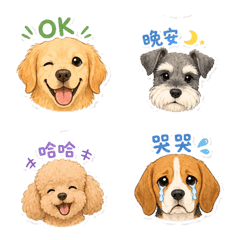 Dog Friends B