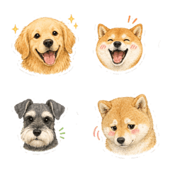 Dog Friends No Text A