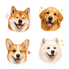 Dog Friends No Text C
