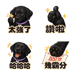 black Labrador Praise Squad Emoji