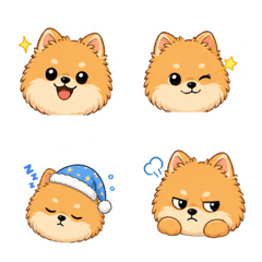 Pomeranian Friends B