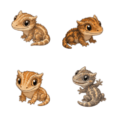 Cute Little Gecko Every Day