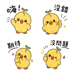 Sprout Chick Daily Stickers