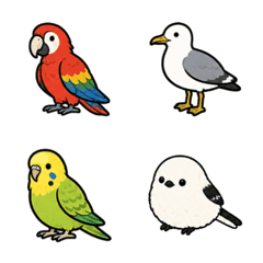 世界美麗鳥類圖鑑2
