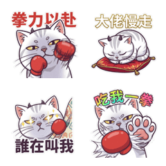 邪惡銀漸層：中文 貓貓拳 表情貼圖!