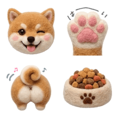 Life with Kotaro the Shiba Inu