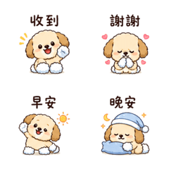 雲襪狗｜静かな寄り添い